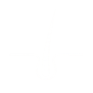 premium human hair